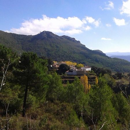 Las Encinas Yeste Exteriér fotografie