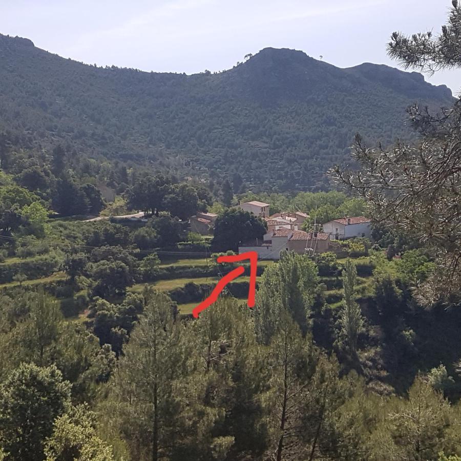 Las Encinas Yeste Exteriér fotografie