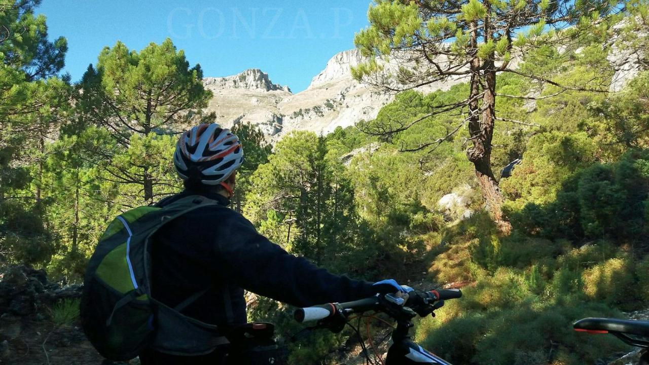 Las Encinas Yeste Exteriér fotografie