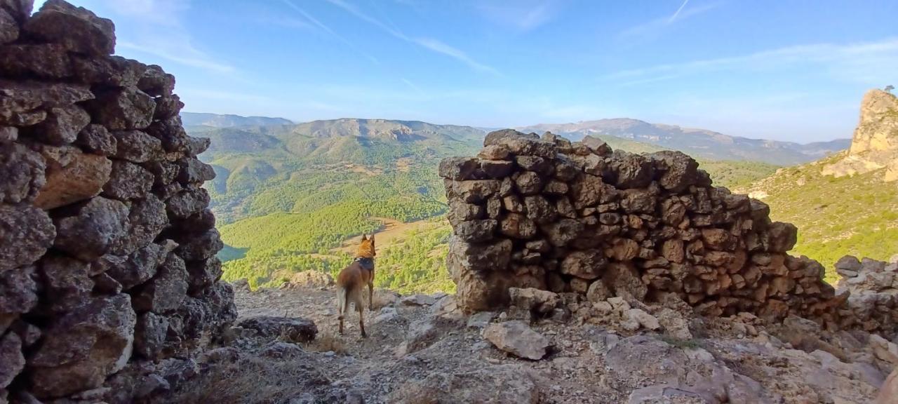 Las Encinas Yeste Exteriér fotografie