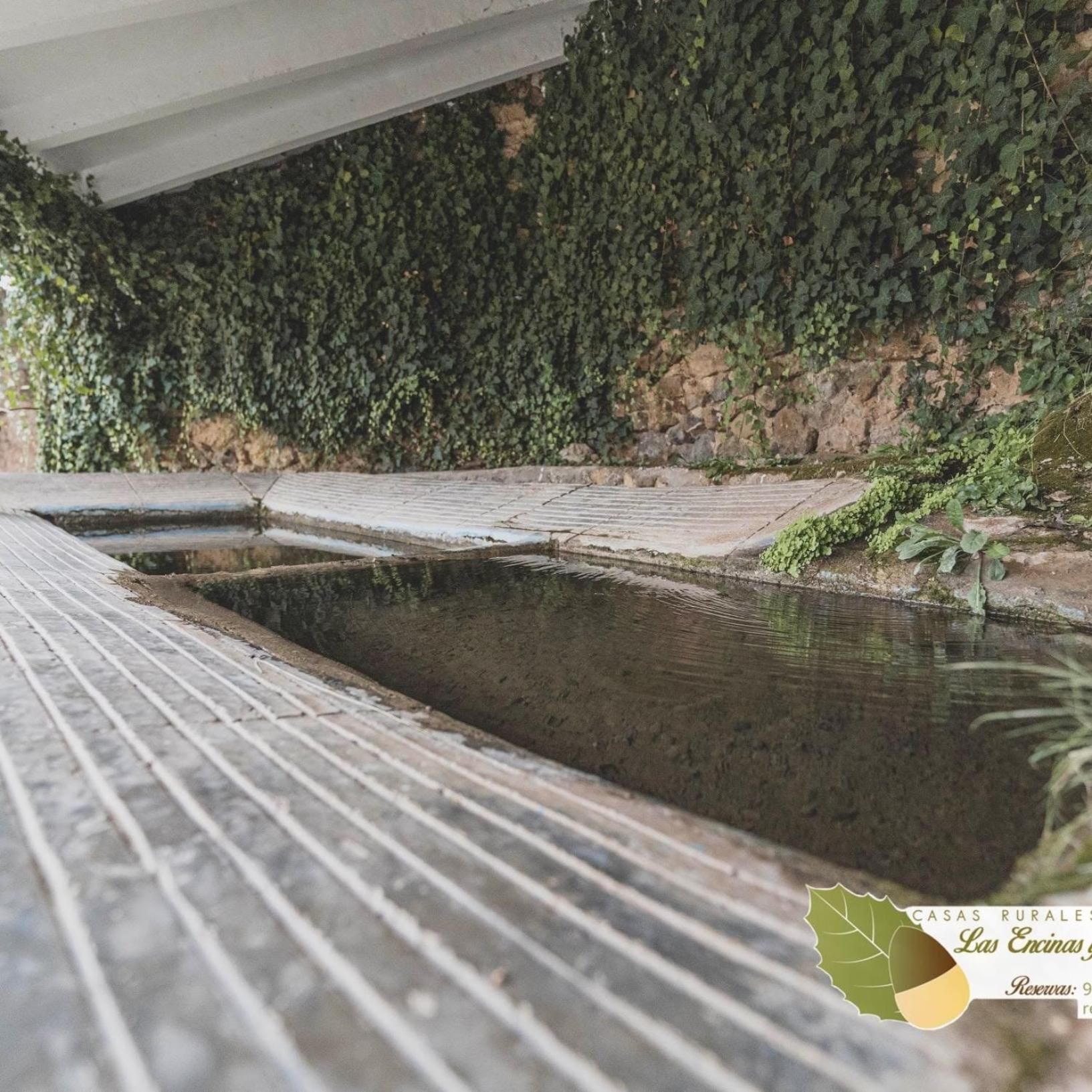 Las Encinas Yeste Exteriér fotografie